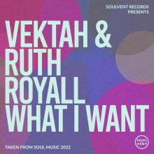 Vektah & Ruth Royall - What I Want (2022) [FLAC]