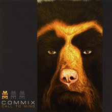 Commix - Call To Mind (2007) [FLAC]