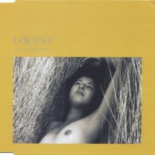 Locust - No-One In The World (1996) [FLAC] download
