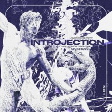 VA - Collection Introjection (2023) [FLAC]