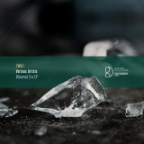 VA - Bloomed Era EP (2024) [FLAC]