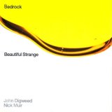Bedrock & John Digweed Nick Muir - Beautiful Strange (2001) [FLAC]