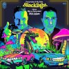 Partyraiser, Mc Robs - Blacklight (Official BKJN vs. Partyraiser 2024 Anthem) (Edit) (2024) [FLAC]