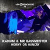 Radium & Mr. Bassmeister & The Sequel - I Am Frenchcore 10 (2021) [FLAC]