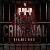 Dynamic Noise - Real Criminal (Edit) (2024) [FLAC]