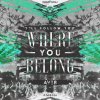 Avi8 - Where You Belong (2016) [FLAC]