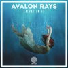 Avalon Rays - Salvation (2020) [FLAC]