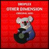 Droplex - Other Dimension (2014) [FLAC]