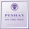 Peshay - On The Nile (2017 Remaster) (2017) [FLAC]